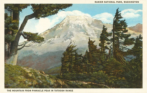 MT RAINIER POST CARD